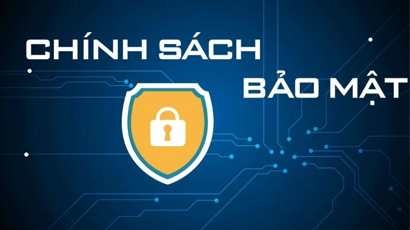 Vi phạm quy định nhà cái